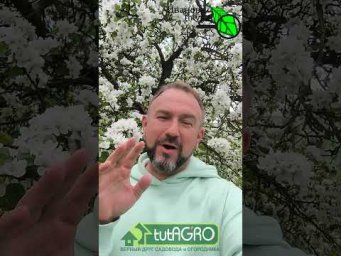 НЕ БОРИТЕСЬ! 5 Сорняков, которые НАКОРМЯТ весь огород. Бесплатное удобрение для огорода.