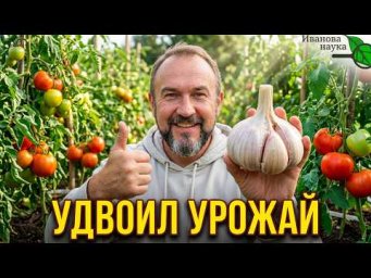 ЧЕСНОК БУДЕТ КРУПНЫМ КАК НИКОГДА! Лучший способ избавиться от болезней чеснока и удвоить урожай