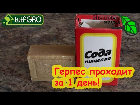 6 СПОСОБОВ ИЗБАВИТЬСЯ ОТ ПРОСТУДЫ НА ГУБАХ БЕЗ ТАБЛЕТОК и МАЗЕЙ. Герпес исчезает и не возвращается. 6 СПОСОБОВ ИЗБАВИТЬСЯ ОТ ПРОСТУДЫ НА ГУБАХ БЕЗ ТАБЛЕТОК и МАЗЕЙ. Герпес исчезает и не возвращается.