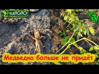 ЭТО СРЕДСТВО ПРОДАЕТСЯ В КАЖДОМ МАГАЗИНЕ, НО! От него дохнут дождевые черви и пчелы, болеют дети.