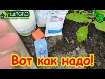 Хватит тратить деньги! 5 бомбических ПОДКОРМОК своими руками из того, что всегда есть дома.