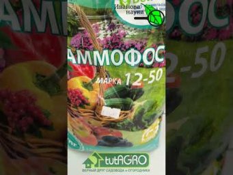 ДЕШЁВАЯ ПОДКОРМКА, ОТ КОТОРОЙ ЗАВИСИТ ВСЁ! Сделайте эту подкормку рассады и будете с урожаем