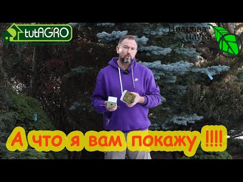 Выбор лютых профессионалов. Такое вы ещё точно не пробовали для посева семян на рассаду. Выбор лютых профессионалов. Такое вы ещё точно не пробовали для посева семян на рассаду.