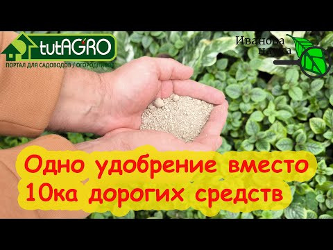 ОДНО ДЕШЕВОЕ УДОБРЕНИЕ ВМЕСТО ВСЕХ ДОРОГИХ ПРИМОЧЕК! Заменяет Цион, Аминосил, Аминорост и Осмокот. ОДНО ДЕШЕВОЕ УДОБРЕНИЕ ВМЕСТО ВСЕХ ДОРОГИХ ПРИМОЧЕК! Заменяет Цион, Аминосил, Аминорост и Осмокот.