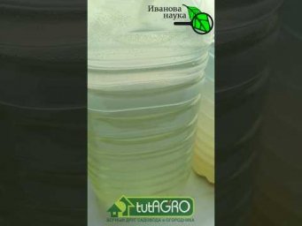 СТОП ПОЛИВ! Перестал поливать рассаду водой и очень доволен!