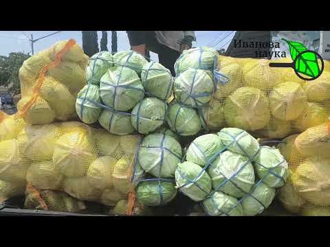 ПРИДЕТ ВРЕМЯ и ЭТО ВИДЕО САМО НАЙДЕТ ВАС.