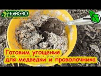 ПОЛОЖИТЕ В ЛУНКУ ЭТО УГОЩЕНИЕ И ВРЕДИТЕЛИ ИСЧЕЗНУТ. Готовим домашнее средство от опасных вредителей.
