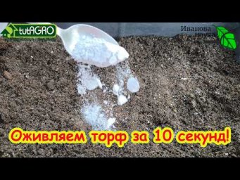 ОДНА ЛОЖКА изменит всё! Как превратить торф в супер-грунт одной ложкой. Секрет плодородия торфа.