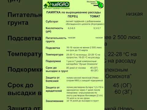 Памятка по выращиванию рассады перца и томата.
