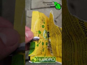 ОТ БЕЛОКРЫЛКИ 100 % МЕТОД ИЗБАВЛЕНИЯ. Лимонная кислота: супер средство от вредителей без химии.