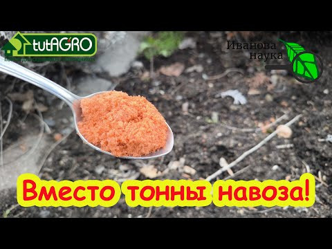 ЭТО ЗАМЕНЯЕТ ТОННУ НАВОЗА! Использую это в огороде не первый год и урожай огромный! ЭТО ЗАМЕНЯЕТ ТОННУ НАВОЗА! Использую это в огороде не первый год и урожай огромный!