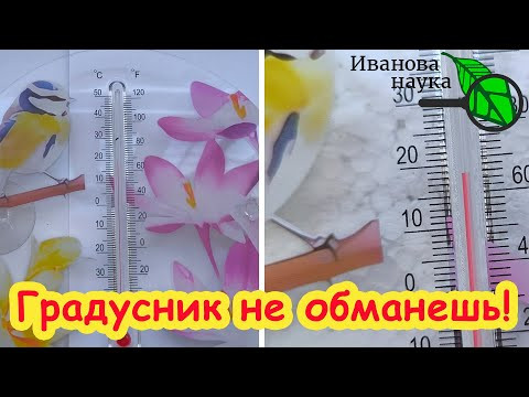 СЕМНА ПЛОХО ВСХОДЯТ? Вот что надо сделать. Всхожесть 100 %! СЕМНА ПЛОХО ВСХОДЯТ? Вот что надо сделать. Всхожесть 100 %!