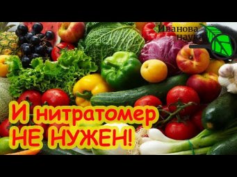 КАК СПАСТИ СЕБЯ и УРОЖАЙ ОТ НИТРАТОВ? Морковь и капуста не будут гнить. Подкормка ПРОТИВ НИТРАТОВ.