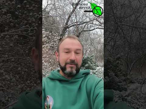 Встречаем зиму ВМЕСТЕ в магазине Процветок на Куйбышева, 69 в Минске 01-12-2024 г.
