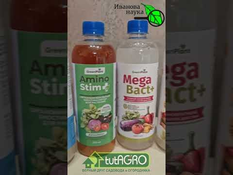 ОГРОМНЫЙ УРОЖАЙ ТОМАТОВ и ОГУРЦОВ с ЭТОЙ ПОДКОРМКОЙ! ДВЕ ОТЛИЧНЫЕ НОВОСТИ: для всех и не для всех!