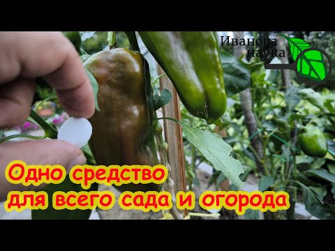 Одно средство для всего сада и огорода с моментальным действием Подробности в комментариях Одно средство для всего сада и огорода с моментальным действием Подробности в комментариях