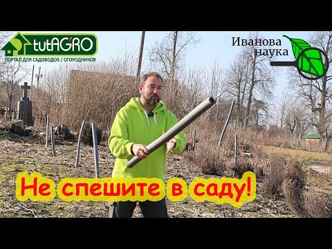 ВАЖНЫЕ РАБОТЫ В САДУ В МАРТЕ... НЕ КМДАЙТЕСЬ ДЕЛАТЬ! С чем нужно подождать в мартовском саду. ВАЖНЫЕ РАБОТЫ В САДУ В МАРТЕ... НЕ КМДАЙТЕСЬ ДЕЛАТЬ! С чем нужно подождать в мартовском саду.