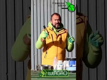 ЭТА ПОБЕЛКА ПРОДЕРЖИТСЯ ГОД: защита деревьев от ожогов, болезней, вредителей и грызунов.