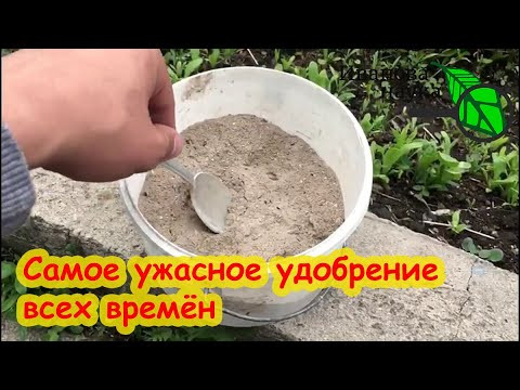 ЗОЛА - ОТРАВА ДЛЯ ПОЧВЫ? Темная сторона удобрения золой.