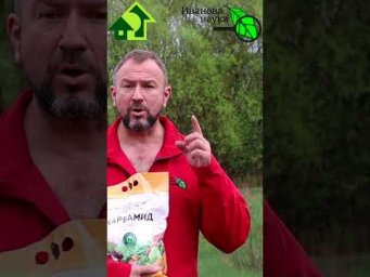 Спасаем огород и сад после потопа. #иванованаука #сад #дача