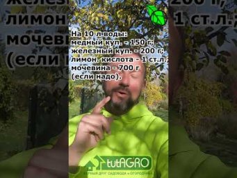 ЭТА СМЕСЬ ОЧИЩАЕТ САД ЗА СЕКУНДЫ! Сделайте обработку сада осенью, весной или летом и не узнаете сад!