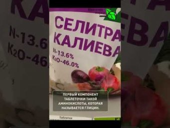 Семена взойдут торпедой! Метод для ленивых. Догоняем февральские посевы!