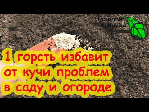 СЫПЬТЕ ХОТЬ ПО СНЕГУ! Это удобрение осенью важнее всех! Рейтинг кальциевых удобрений: какие, сколько СЫПЬТЕ ХОТЬ ПО СНЕГУ! Это удобрение осенью важнее всех! Рейтинг кальциевых удобрений: какие, сколько