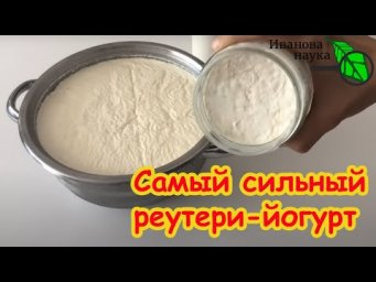 ЛАКТОБАКТЕРИЯ МОЛОДОСТИ БЕЗ ДРОЖЖЕЙ и ИНУЛИНА: готовим реутери по-новому. Она способна и на такое!