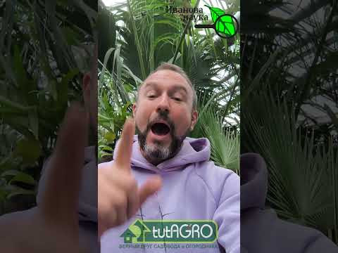 Такого еще не было! Шок скидки на препараты для сада и огорода! Двойная выгода под Новый год! Такого еще не было! Шок скидки на препараты для сада и огорода! Двойная выгода под Новый год!