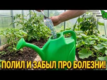 НОВЫЙ СПОСОБ ОБЕЗЗАРАЖИВАНИЯ ПОЧВЫ! БЕЗ усилий, БЕЗ химии, но с СУПЕР РЕЗУЛЬТАТОМ