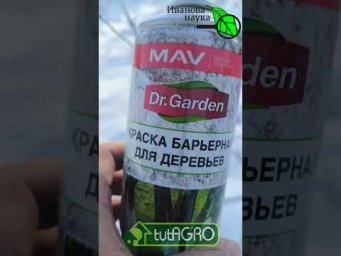 Сад под ударом мороза и солнца: без паники! Что нужно знать садоводу для спасения сада от стужи.