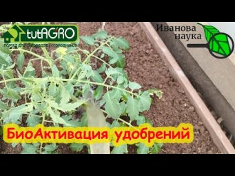 ПОДКАРМЛИВАЮ ТОЛЬКО ТАК! Не обязательно быть почвоведом и агрохимиком для безопасного сада и огорода