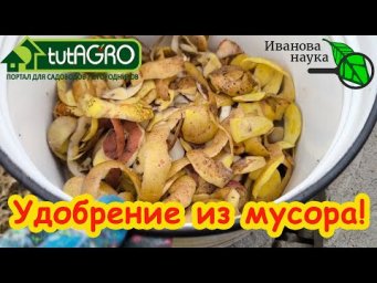 ВМЕСТО ВСЕХ УДОБРЕНИЙ и ПРЕПАРАТОВ - ЭТО ДОМАШНЕЕ БЕСПЛАТНОЕ СРЕДСТВО! Вы будете поражены урожаем!
