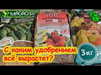 С ЭТИМИ УДОБРЕНИЯМИ МОЖНО ВЫРАСТИТЬ ЧТО УГОДНО! Полезный урожай без вреда для почвы.