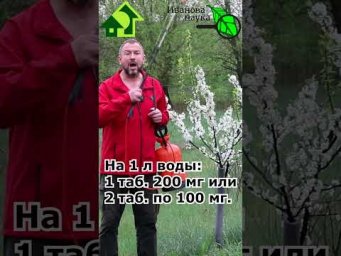 Заставить пчел опылять сад даже в холод. Все пчелы только в вашем саду. #иванованаука #сад #огород