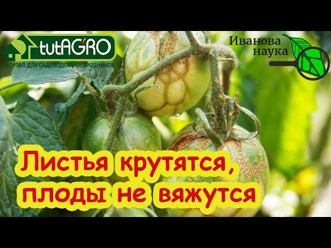 СУПЕР ВОССТАНОВИТЕЛЬ РАСТЕНИЙ: в любой непонятной ситуации используйте это средство - оно поможет. СУПЕР ВОССТАНОВИТЕЛЬ РАСТЕНИЙ: в любой непонятной ситуации используйте это средство - оно поможет.