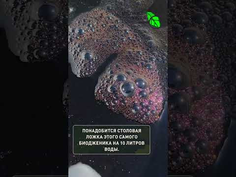 Всего 1 ЛОЖКА — и почва станет как ПУХ! Секрет опытных садоводов. Забудьте про твердую землю! Всего 1 ЛОЖКА — и почва станет как ПУХ! Секрет опытных садоводов. Забудьте про твердую землю!
