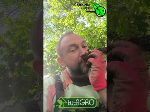 БЕЗ ПРАВИЛ: КОМПОСТ ЗА 5 МИНУТ! Этот компост изменит всё! С ним урожай растет в 2 раза быстрее! БЕЗ ПРАВИЛ: КОМПОСТ ЗА 5 МИНУТ! Этот компост изменит всё! С ним урожай растет в 2 раза быстрее!