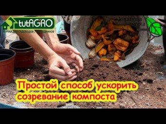 СУХИЕ ЛИСТЬЯ - В ПЕРЕГНОЙ: выливаю всего одно ведро в компост и получаю готовый перегной!