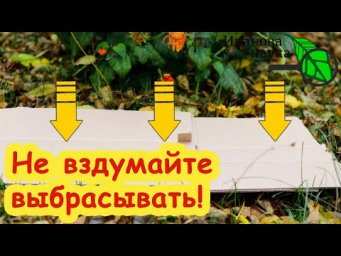 СОБИРАЙТЕ ЭТО ВСЮ ЗИМУ и БУДЕТЕ С БОЛЬШИМ УРОЖАЕМ! Не вздумайте выбрасывать это супер средство!