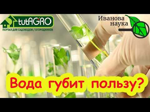 ОСТОРОЖНО! Эта вода убивает ваши биопрепараты! Так считают блогеры, но правда ли это? ОСТОРОЖНО! Эта вода убивает ваши биопрепараты! Так считают блогеры, но правда ли это?