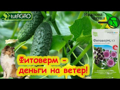ФИТОВЕРМ - ЭТО ДЕНЬГИ НА ВЕТЕР, если использовать неправильно. Как правильно использовать фитоверм?