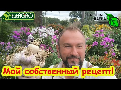 ЗАПРАВКА ПОЧВЫ ПОД ЧЕСНОК: превратите любую землю в рай для чеснока за 5 минут! ЗАПРАВКА ПОЧВЫ ПОД ЧЕСНОК: превратите любую землю в рай для чеснока за 5 минут!