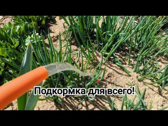 ЦЕЛАЯ БОЧКА УДОБРЕНИЙ из ничего! Самое лучшее весеннее удобрение за 5 минут.