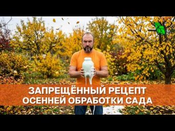 СМЕШАЛ С МОЧЕВИНОЙ И ЧУТЬ НЕ ПОМЕР! Запрещённый рецепт осенней искореняющей обработки сада