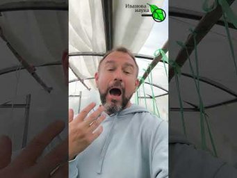 Как превратить  ЗОЛУ в золото для вашего сада и огорода?  Полный рецепт в описании к видео