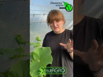 СРОЧНО 