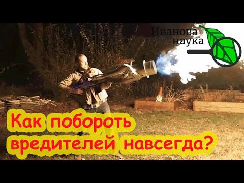 СЛИЗНИ, КЛОПЫ и МЕДВЕДКА ДОСТАЛИ? Вот решение! Победить вредителей раз и навсегда.