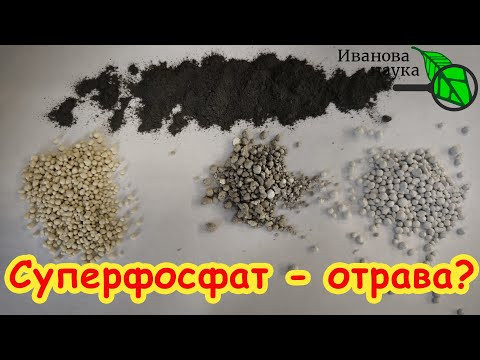 СТОЙТЕ! НЕ ВНОСИТЕ СУПЕРФОСФАТ, пока не узнаете этот секрет! Подделки и опасности СУПЕРФОСФАТА.