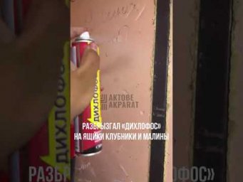 А вы как думали? Неужели для кого-то это новость? На самом деле, все гораздо драматичнее.